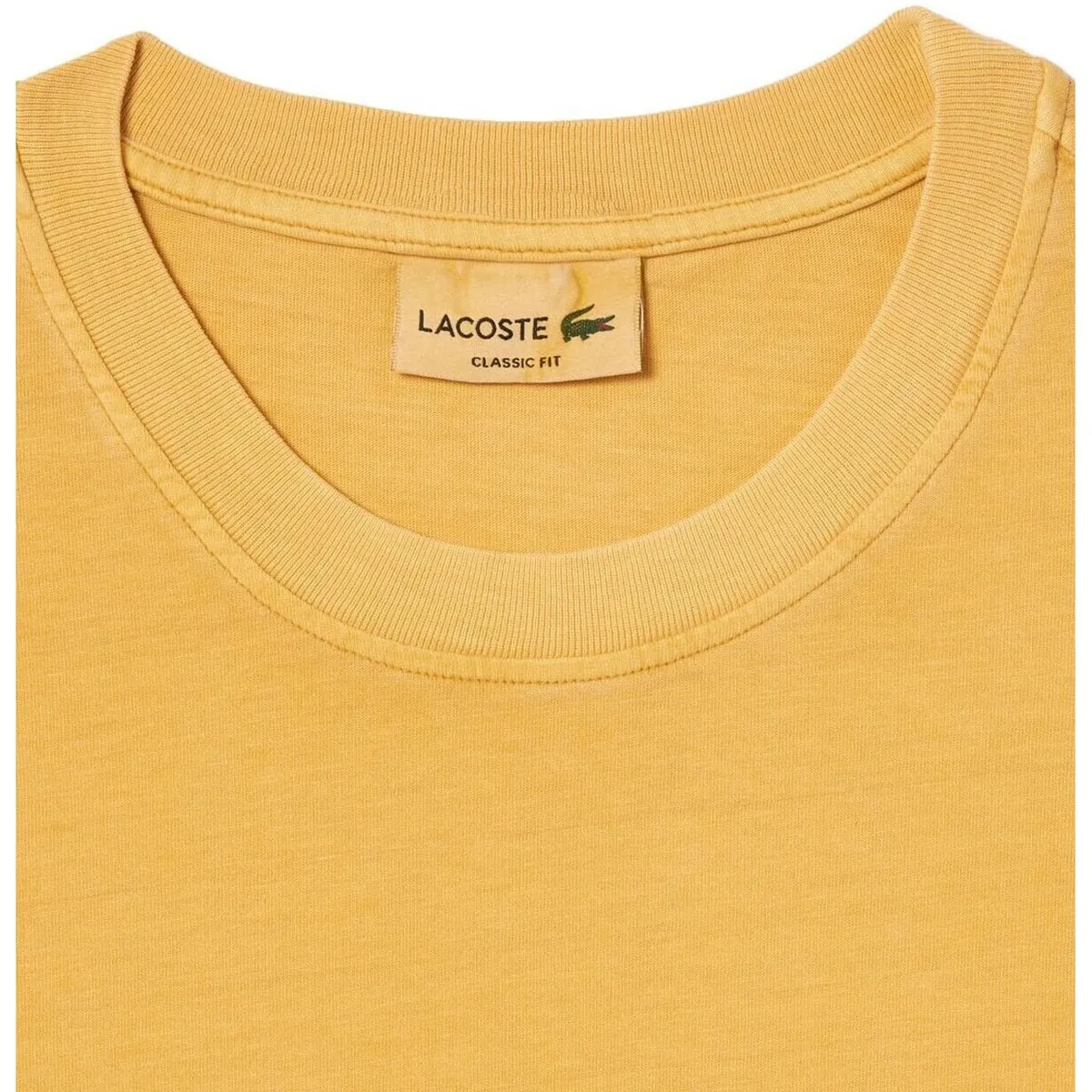  CAMISETA NATURAL DYED
