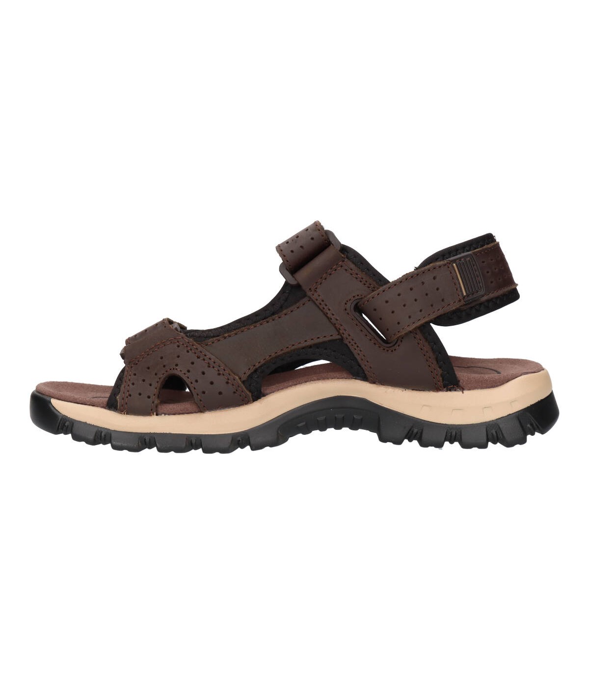 PAREDES VP22172 Hombre Marron