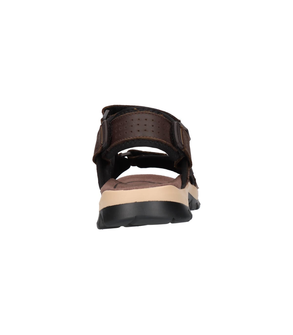 PAREDES VP22172 Hombre Marron